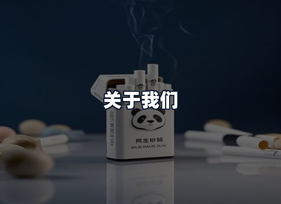 关于我们
